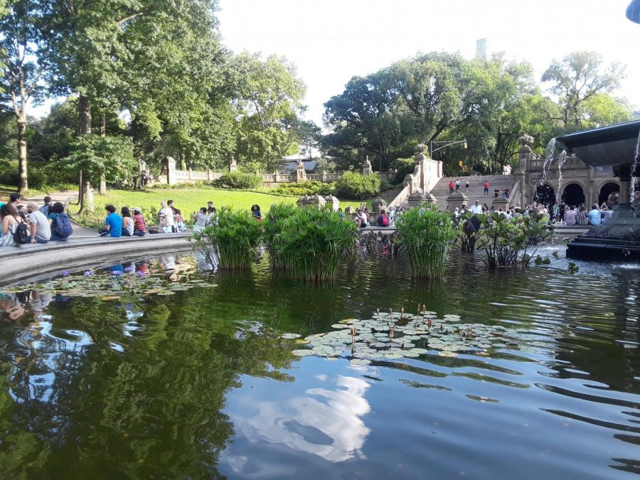 PHOTO pond with students sitting around MM