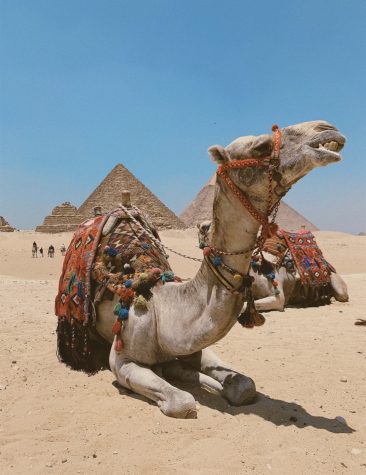 Adventures in Egypt - Pow Wow News