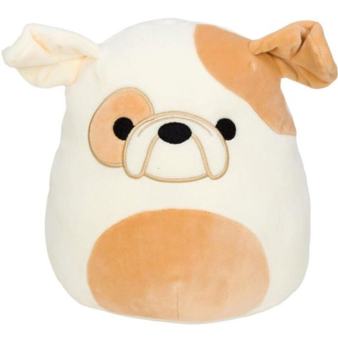 Squishmallows: Not Your Average Stuffed Animal