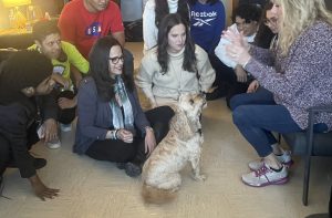 Jake the Therapy Dog Visits Brentwood High School