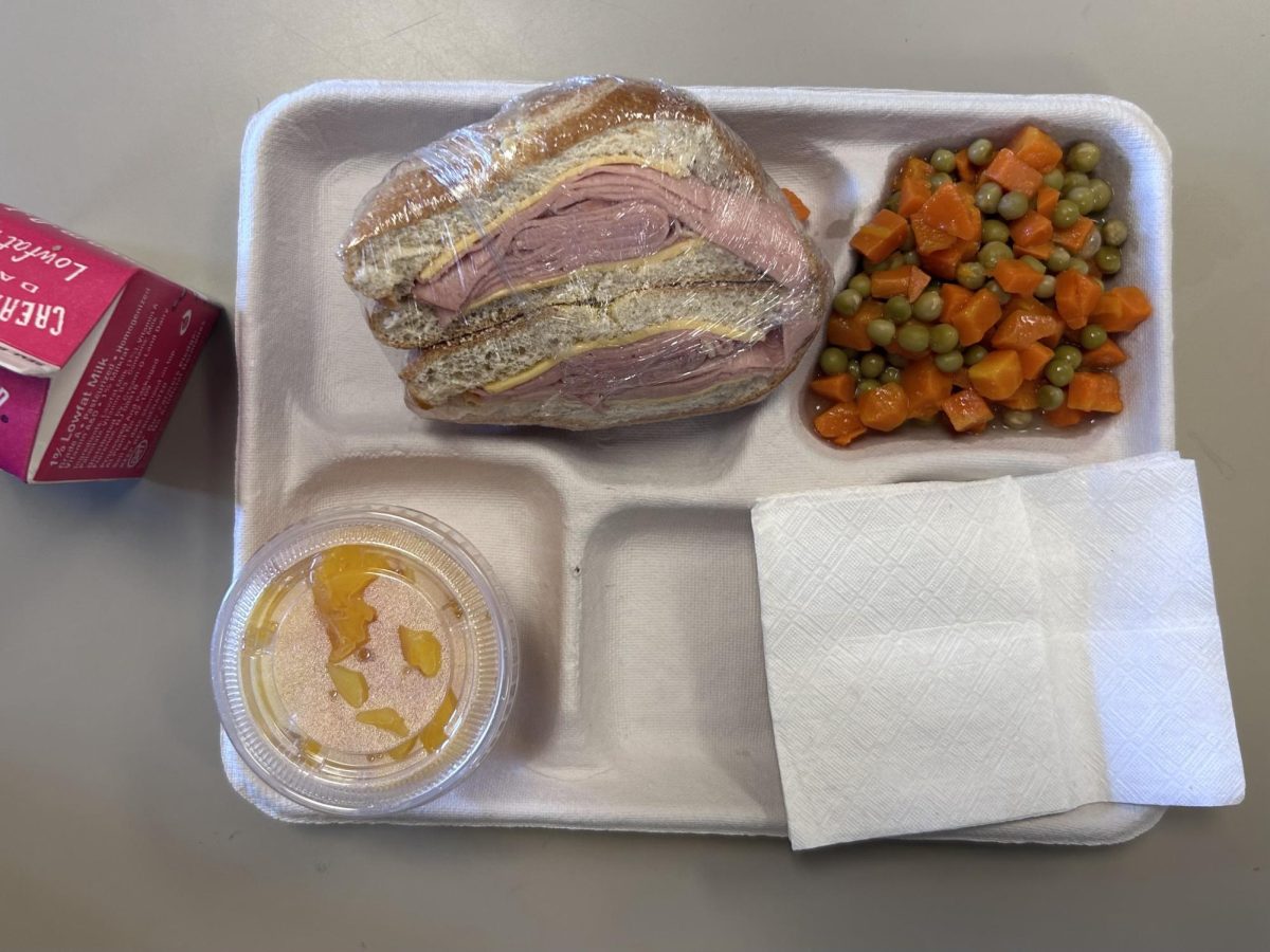 ¿Sera Que Los Almuerzos Escolares Impiden El Éxito Estudiantil?