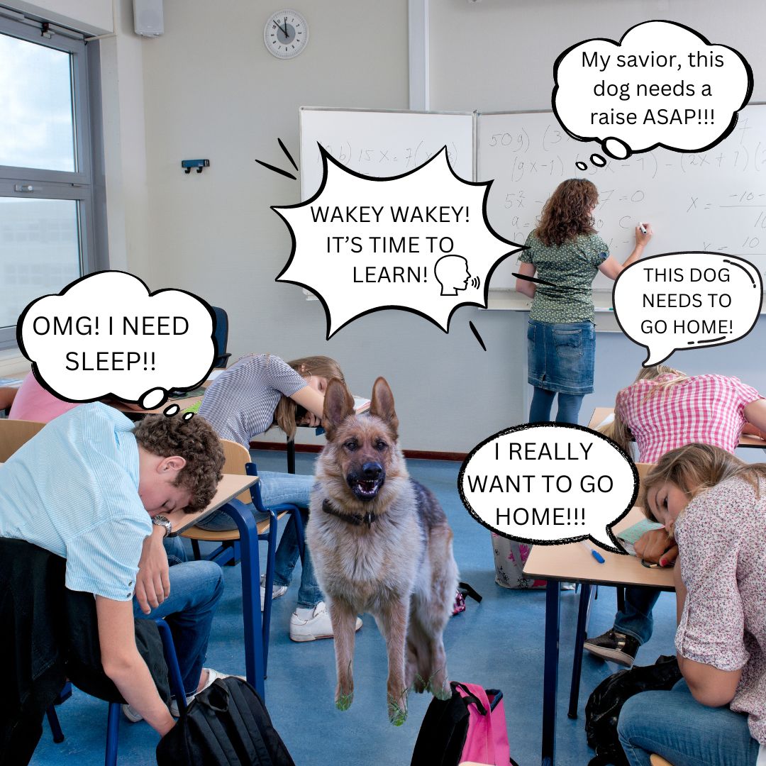 Woof, Woof: Barky Helps Students Stay Alert